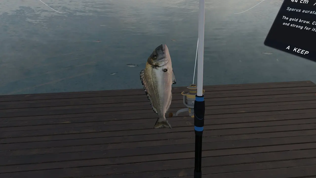 Fishing Simulator Naples screenshot 1