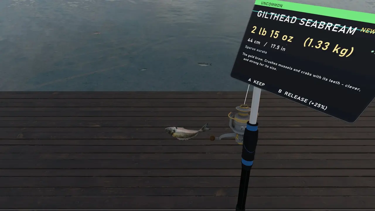 Fishing Simulator Naples screenshot 3